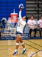 Photo from the gallery "American @ Newark Memorial"