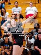 Photo from the gallery "Sheldon @ Laguna Creek"