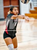 Photo from the gallery "Sheldon @ Laguna Creek"
