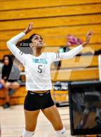 Photo from the gallery "Sheldon @ Laguna Creek"