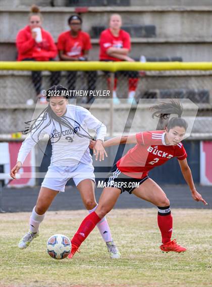 Thumbnail 1 in Lee County @ Hoke County photogallery.