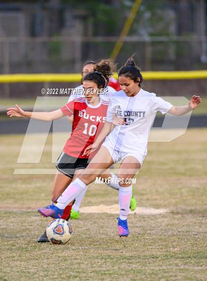 Thumbnail 1 in Lee County @ Hoke County photogallery.