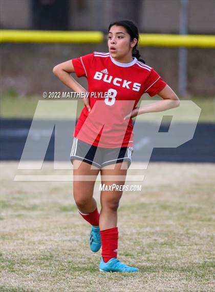 Thumbnail 2 in Lee County @ Hoke County photogallery.