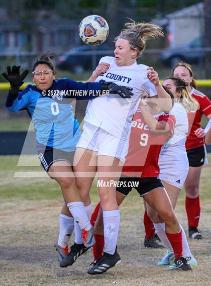 Thumbnail 2 in Lee County @ Hoke County photogallery.