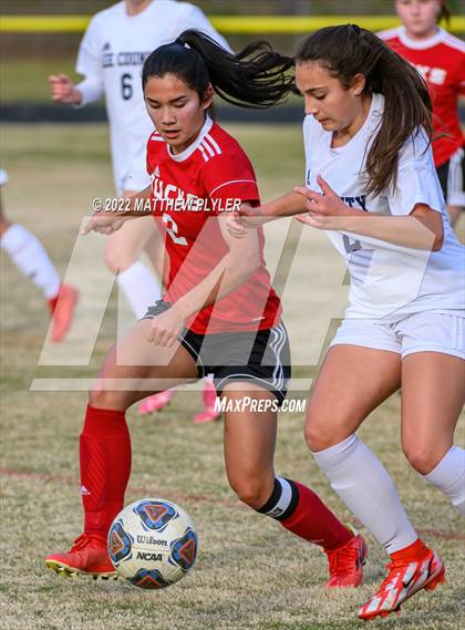 Thumbnail 2 in Lee County @ Hoke County photogallery.