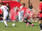 Photo from the gallery "East @ Alta"