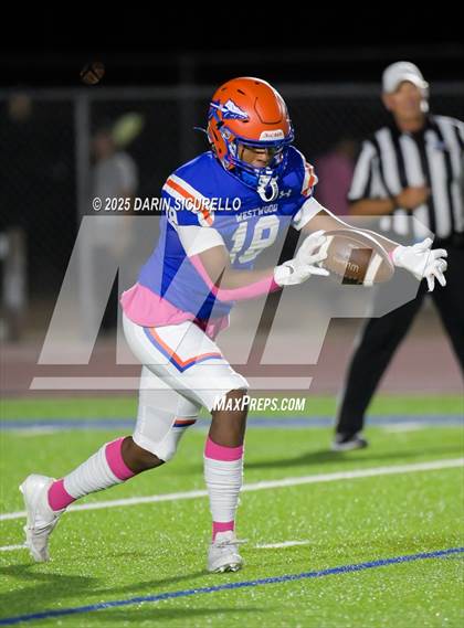 Thumbnail 1 in Basha @ Westwood photogallery.
