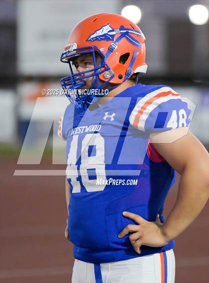 Thumbnail 1 in Basha @ Westwood photogallery.