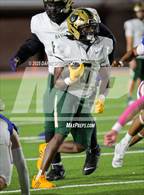 Photo from the gallery "Basha @ Westwood"