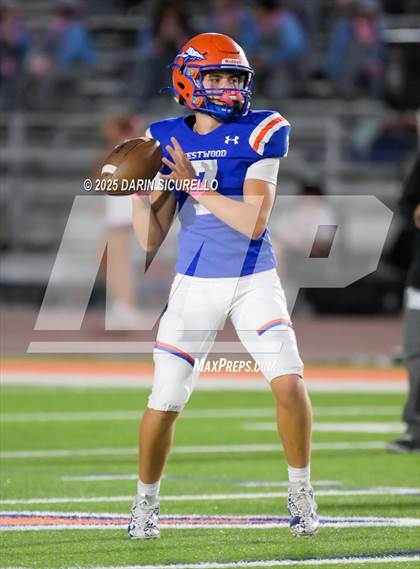 Thumbnail 2 in Basha @ Westwood photogallery.