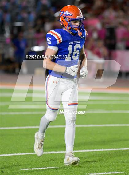 Thumbnail 1 in Basha @ Westwood photogallery.