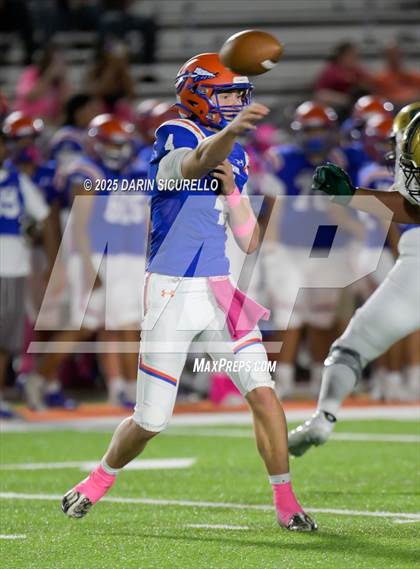 Thumbnail 1 in Basha @ Westwood photogallery.