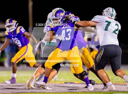 Thumbnail 3 in Moody @ Marlin photogallery.