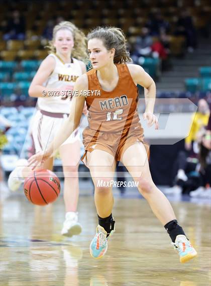 Thumbnail 1 in Mead vs Windsor (CHSAA 4A Final Four) photogallery.