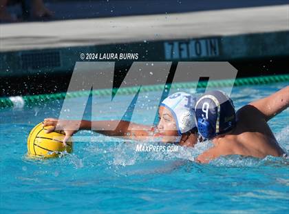 Thumbnail 1 in Leland @ Branham photogallery.