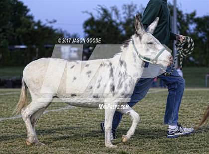 Thumbnail 1 in Independence @ Hillsboro photogallery.