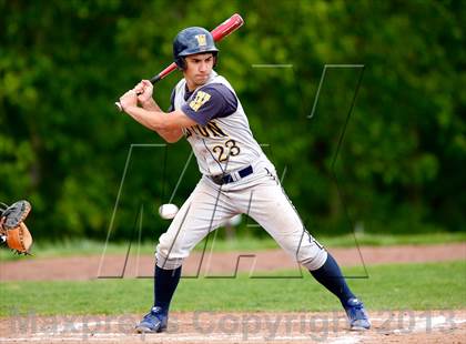 Thumbnail 1 in Weston @ Joel Barlow photogallery.