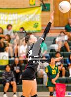 Photo from the gallery "McClatchy @ Kennedy"