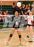 Photo from the gallery "McClatchy @ Kennedy"
