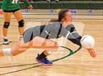 Photo from the gallery "McClatchy @ Kennedy"