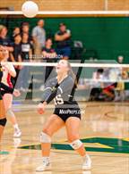 Photo from the gallery "McClatchy @ Kennedy"