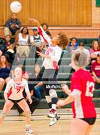 Photo from the gallery "McClatchy @ Kennedy"