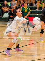 Photo from the gallery "McClatchy @ Kennedy"