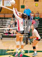 Photo from the gallery "McClatchy @ Kennedy"