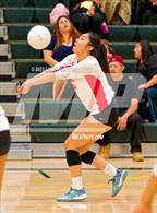 Photo from the gallery "McClatchy @ Kennedy"