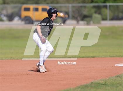 Thumbnail 2 in Hamilton @ Basha photogallery.
