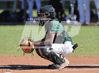 Thumbnail 2 in Hamilton @ Basha photogallery.