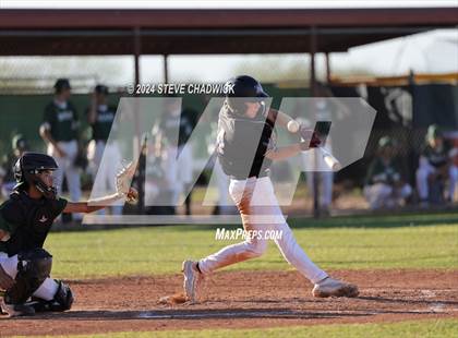 Thumbnail 3 in Hamilton @ Basha photogallery.