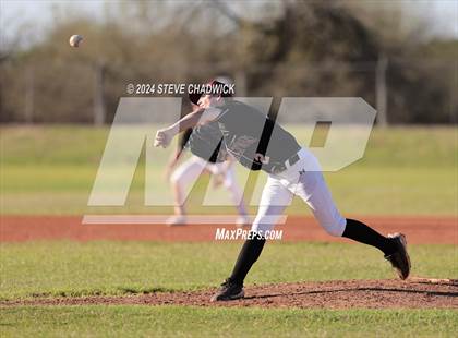 Thumbnail 3 in Hamilton @ Basha photogallery.