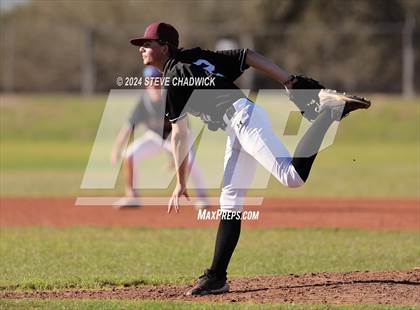 Thumbnail 2 in Hamilton @ Basha photogallery.