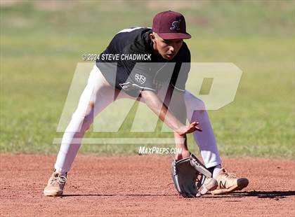 Thumbnail 3 in Hamilton @ Basha photogallery.