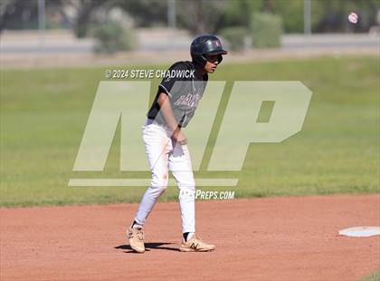 Thumbnail 2 in Hamilton @ Basha photogallery.