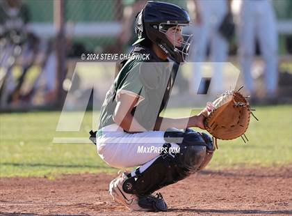 Thumbnail 3 in Hamilton @ Basha photogallery.