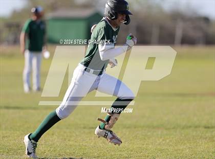 Thumbnail 1 in Hamilton @ Basha photogallery.