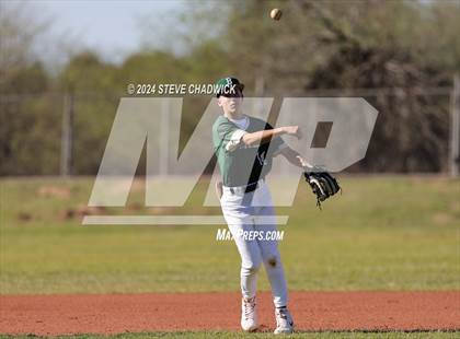 Thumbnail 1 in Hamilton @ Basha photogallery.