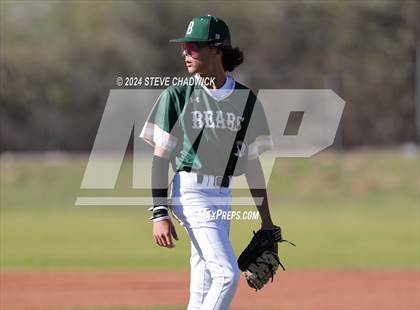 Thumbnail 3 in Hamilton @ Basha photogallery.