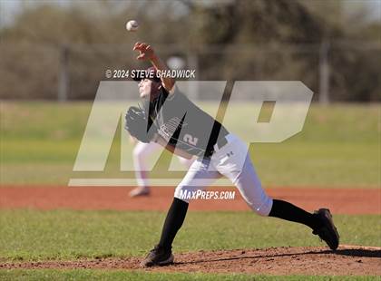 Thumbnail 3 in Hamilton @ Basha photogallery.