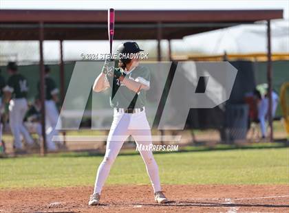 Thumbnail 2 in Hamilton @ Basha photogallery.
