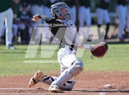 Thumbnail 2 in Hamilton @ Basha photogallery.