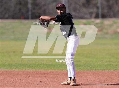 Thumbnail 2 in Hamilton @ Basha photogallery.
