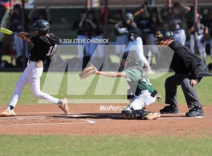 Thumbnail 3 in Hamilton @ Basha photogallery.