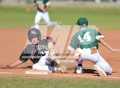 Thumbnail 3 in Hamilton @ Basha photogallery.