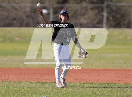 Thumbnail 2 in Hamilton @ Basha photogallery.