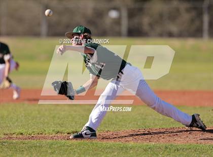 Thumbnail 1 in Hamilton @ Basha photogallery.