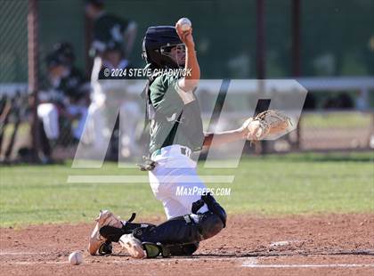 Thumbnail 3 in Hamilton @ Basha photogallery.