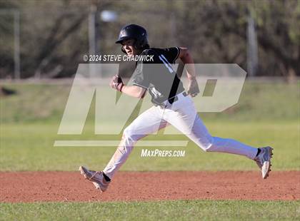 Thumbnail 3 in Hamilton @ Basha photogallery.